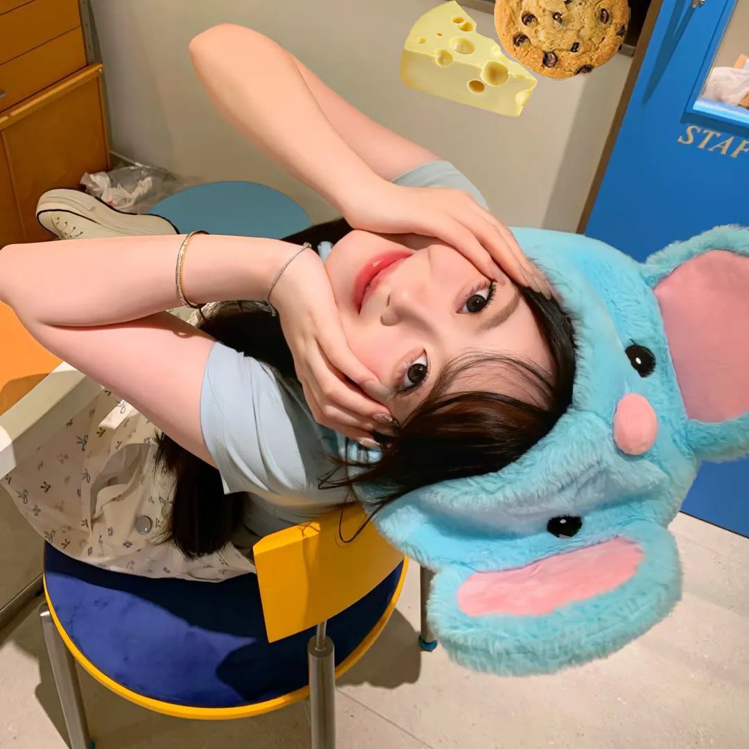 从你的全世界路过